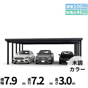 �y�L�����y�[���Ώۏ��i�z�y���i�̂݁z�J�[�|�[�g 3��p YKK YKKAP �W�[�|�[�g Pro 3000�^�C�v ���ނȂ� ��������Ȃ� ���s������10�{ J60�E12-80 H30�w �ܔ� �Z�b�p�� �J�[�|�[�g �Ԍ� �K���[�W ��