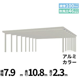 �y�L�����y�[���Ώۏ��i�z�y���i�̂݁z�J�[�|�[�g 6��p YKK YKKAP �W�[�|�[�g Pro 3000�^�C�v ���ނȂ� ��������Ȃ� ���s(2)�A����16�{ J55�E55-80 H24�w �ܔ� �Z�b�p�� �J�[�|�[�g �Ԍ� �K���[�W 