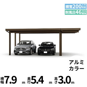 【キャンペーン対象商品】【商品のみ】カーポート 2台用 YKK YKKAP ジーポート Pro 6000タイプ 横材なし 明かり取りなし 間口延長柱6本(梁3列) E55-60・18 H30『 折板 セッパン カーポート 車庫 ガレ