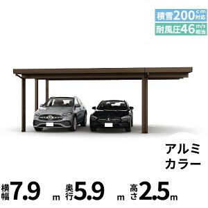 【キャンペーン対象商品】【商品のみ】カーポート 2台用 YKK YKKAP ジーポート Pro 6000タイプ 横材なし 明かり取りなし 間口延長柱6本(梁3列) E60-60・18 H25(凍上柱)『 折板 セッパン カーポート 車