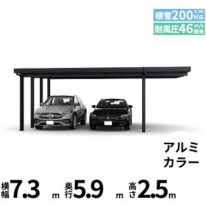 �y���i�̂݁z�J�[�|�[�g 2��p YKK YKKAP �W�[�|�[�g Pro 6000�^�C�v ���ނȂ� ��������Ȃ� �Ԍ�������8�{(��4��) E60-55�E18 H25�w �ܔ� �Z�b�p�� �J�[�|�[�g �Ԍ� �K���[�W ���ԏ� ���� diy �x �A��