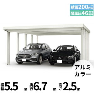 �y�L�����y�[���Ώۏ��i�z�y���i�̂݁z�J�[�|�[�g 2��p YKK YKKAP �W�[�|�[�g Pro 6000�^�C�v ���ނȂ� ��������Ȃ� ���s������10�{ J55�E12-55 H25(���㒌)�w �ܔ� �Z�b�p�� �J�[�|�[�g �Ԍ� �K