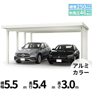 yX[p[SALEzzyî݁zJ[|[g 2p YKK YKKAP W[|[g Pro 7500^Cv ނȂ Ȃ P̒8{ 55-55 H30w ܔ Zbp J[|[g Ԍ K[W ԏ  diy x