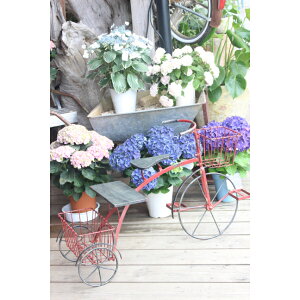 yi 2024N4{ח\zcY K[fgCVN 6059 bh