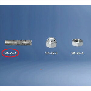 _hz[NGCg oRj[IvV ؃{g SK-22-4 wFVax