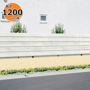 yؖڒ@ډBzOA~ tCi YM^ { t[x^Cv 2012 w  H1200mmp ȂؒA~tFXx