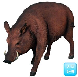 FRP ̂E / Wild Boar fr100079 wIuWF Aj}IuWF X܁ECxgx