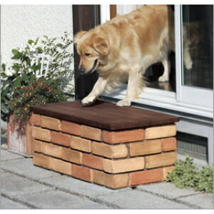 yyVSSԒP2{z󒍐Yi@jbR[ [tXebvx` ubN^Cv OPB-SB-2 󒍐Yîߔ[܂ wjbR[GNXeAx