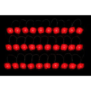 Fߋ LED[YfR[V LED[YCgibhj WG-2401RE wNX}X O LED C~l[V Cgx
