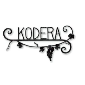 ZNtg ACANtg\D NVJ SP-40 w\D TC ˌx