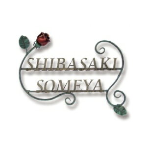 y}\ΏہzI[ NVJACAl[ rIo NL1-N18 w\D TC ˌx