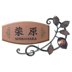 y}\Ώہz j[uXACA Zp[g  IRX-72 w\D TC ˌx