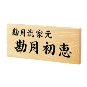  ƖpTC VR΁EKXE ؃Z WZ-17 w\D TCx