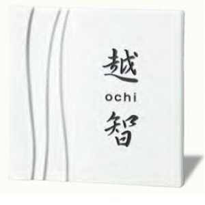 yyVSSԒP2{zZNtg 탂_\D CARO d TC-21 w\D TC ˌx