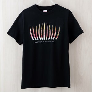 y ̂TVc z R ̂ ˂܂肽 Ȃ| ፑ Hc V TVc  jp