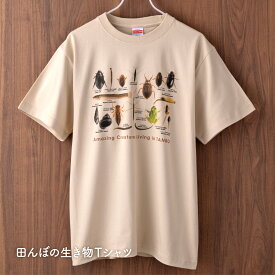 【 田んぼの生き物Tシャツ】たんぼ カエル カワニナ マルタニシ ドジョウ オニヤンマ ホウネンエビ コガムシ コオイムシ ゲンゴロウ アメンボ ミズカマキリ ヒル 里山 水生生物 虫 昆虫 雪国 北信州 長野 新潟 十日町 Tシャツ 半袖 こども 男女兼用