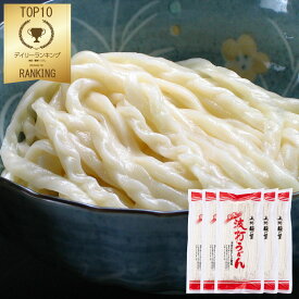 桐生の波打うどん ねじれうどん 半生麺 300g×5袋 なみうちうどん でこぼこ麺