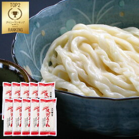 桐生の波打うどん ねじれうどん 半生麺 300g×10 なみうちうどん でこぼこ麺【送料無料】