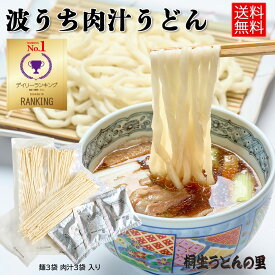 桐生の波打肉汁うどん ねじれうどん 半生麺 130g×3袋 1000円ポッキリ 送料無料 なみうちうどん でこぼこ麺