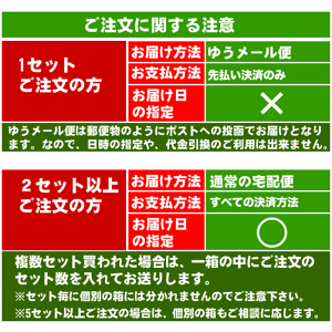 桐生ひもかわうどん『帯麺』(乾麺)【メール便送料無料】めん4袋(8人前)濃縮つゆ8人前おっきりこHOT-4