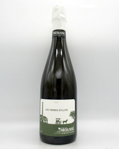 y4{ȏ5OFFN[|zyubNtCf[E|Cg5{zbZ@[2020]@e[EfBbg@750mly̓zyWS91zyVp[jzyhzyCzytXzyZhb