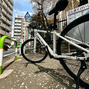 Upland dAVXg] fitness 700C V}m8iϑ@ SHIMANO A~jE6061 T6 AhCu[^[ C`[uobe[ [d v~AfBXvC d] ʋ ʊw 