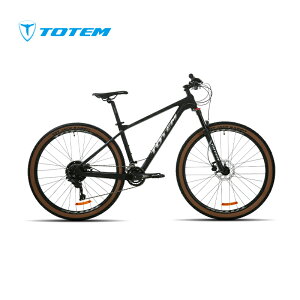 Totem] Pegasus J[{t[ }EeoCN 29C` V}m20iϑ Yf@ ] y GATXyV V}m shimano R r Rxn s }o~ iz 