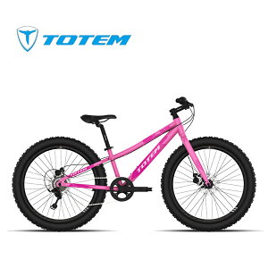 Totem]  qp] 20C` V}m7iϑ@ fBXNu[L qp A~jE6061 T6 5΁`9 g120cm K V a v[g Mtg q̓ LbYoCN q