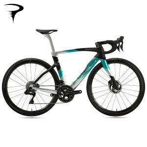 PINARELLO siDOGMA F E124 NEBULA GREEN SILVER 56 t[Zbg