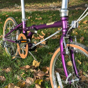 DAHON D10-4130 ܂肽ݎ] 20C`bSHIMANO 10iϑ x4130NX`[ uf| ʋΒʊwE֍ssΉf