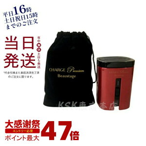 �y���K�i �V�i�z�A�f�����X �r���[�X�e�[�W �`���[�W �v���~�A�� �|�[�^�u�� ���f�����@ ��������