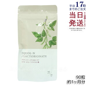 �G�N�I�[��N ���N�g�r�I���_�z�� 90�� ��1������ �T�v�������g �G�N�I�[�� �T�v�� �哤�C�\�t���{�� �X�N�� ���e ���N �����z������ �w�l�Ȑ���Ƌ����J�� �z�������o�����X ������ ���e