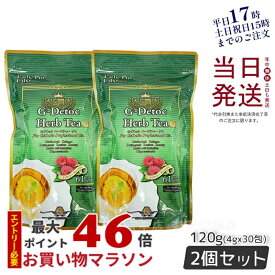 【2個セット】ダイエット紅茶 エステプロラボ gデトックハーブティー プロ 30包 お通じ 便通 改善茶 おいしい 腸活 排出系 賞味期限2025年12月 送料無料