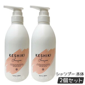 y2_Zbg gRzKESHIKI PVL Vv[ wAg[gg 480ml { /480g lߑւ PVLVv[ q[g_[W C ێ AhiC Ƃ 炳 A~m_n 