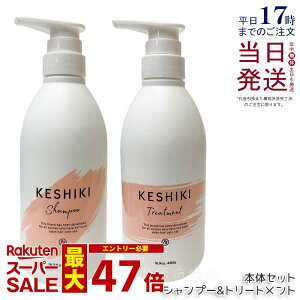 KESHIKI PVL Vv[ 480ml + g[gg 480g { Zbg AhiC PVLVv[ q[gPA _[W C ێ A~m_ et e@ e Tꔄi wAPA _