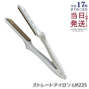 �y�ۏ�1�N�t���z���� �L�k�[�W�� KINUJO �X�g���[�g�w�A�A�C���� �z���C�g LM225 �w�A�A�C���� �_���[�W�P�A 220�� �v���d�l �V���N�v���[�g ���Z �c���� ���˂�΍� ���x���� ���� ���� ���e�� 