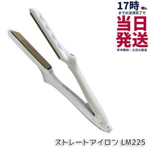 �y�ۏ�1�N�t���z���� �L�k�[�W�� KINUJO �X�g���[�g�w�A�A�C���� �z���C�g LM225 �w�A�A�C���� �_���[�W�P�A 220�� �v���d�l �V���N�v���[�g ���Z �c���� ���˂�΍� ���x���� ���� ���� ���e�� 