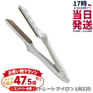 �y�ۏ�1�N�t���z���� �L�k�[�W�� KINUJO �X�g���[�g�w�A�A�C���� �z���C�g LM225 �w�A�A�C���� �_���[�W�P�A 220�� �v���d�l �V���N�v���[�g ���Z �c���� ���˂�΍� ���x���� ���� ���� ���e�� 