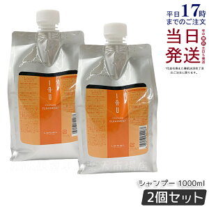 y2Zbgzx CI NWO NAg 1000ml Vv[ lߑւ lւ l֗p tB x CI Vv[ wAPA lC  T Tꔄ   炳