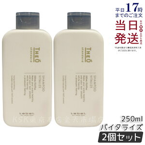 y2Zbgzx WIX^_[hVv[ oC^CY 250ml   ێ wAPA Y jp e  Lebel THEO standard Ki 