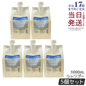 【5個セット】ルベル ジオスタンダードシャンプー アイスフレッシュ 1000ml 詰め替え 冷感 頭皮 潤い 保湿 ヘアケア メンズ 男性用 美容 おすすめ Lebel THEO standard サロン専売品 国内正規品 送料