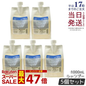 y5Zbgzx WIX^_[hVv[ ACXtbV 1000ml lߑւ ⊴   ێ wAPA Y jp e  Lebel THEO standard Tꔄi Ki 