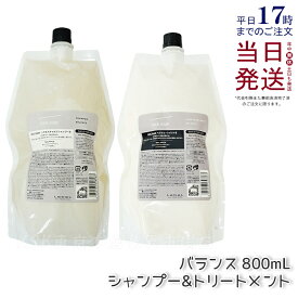 ルベル シーソー シャンプー SEE SAW LebeL ヘア＆スキャルプシャンプーB 800ml BALANCE トリートメント バランス 800ml 詰替え 2個セット LEBEL SEE/SAW 国内正規品 サロン 美容室専売品 艶髪 質感 しなやか リニューアル 送料無料