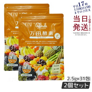 y2Zbgz cyf y[Xg^Cv GINGER WW[  77.5g (2.5g×31) RyHi yfTv yyf cyf cy y Ki ܖ2027N2