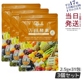 【3個セット】 万田酵素 ペーストタイプ GINGER ジンジャー 分包 77.5g (2.5g×31包) 自然発酵食品 酵素サプリ 発酵酵素 万田酵素 万田発酵 あす楽 国内正規品 賞味期限2027年2月