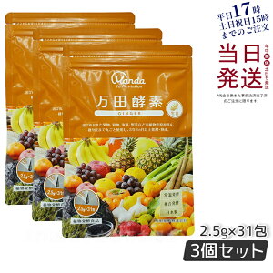 y3Zbgz cyf y[Xg^Cv GINGER WW[  77.5g (2.5g×31) RyHi yfTv yyf cyf cy y Ki ܖ2027N2