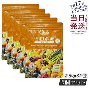 y5Zbgz cyf y[Xg^Cv GINGER WW[  77.5g (2.5g×31) RyHi yfTv yyf cyf cy y Ki ܖ2027N2