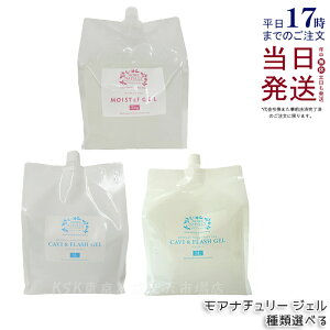 y3ޑIׂzAi`[ LrtbVWF 3L X[p[n[h / \tg / CXgcfWF 3000ml Ɩp gWF }bT[Wp Lre[Vp WF GXe Sgp