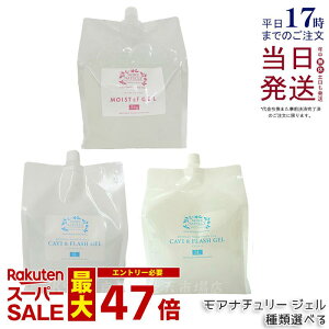 y3ޑIׂzAi`[ LrtbVWF 3L X[p[n[h / \tg / CXgcfWF 3000ml Ɩp gWF }bT[Wp Lre[Vp WF GXe Sgp