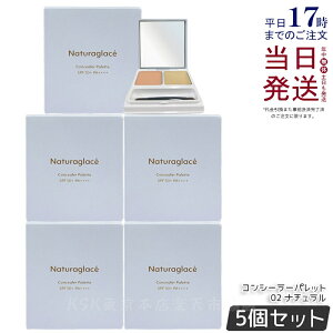 �y5�Z�b�g�z�i�`�����O���b�Z �R���V�[���[�p���b�g 02 �i�`������ 4.8g�i2.4g×2�j �u���V�t�� Naturaglace SPF50+ PA++++ �R���V�[���[ �΂���I�t �t�@���f�[�V���� �N�} �V�~ �F���� UV �u���[���C